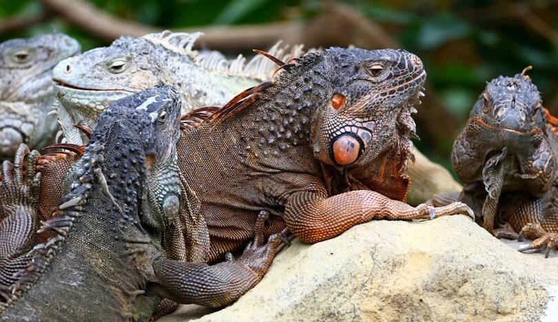 2025年台北親子景點推薦：熱門必去地點