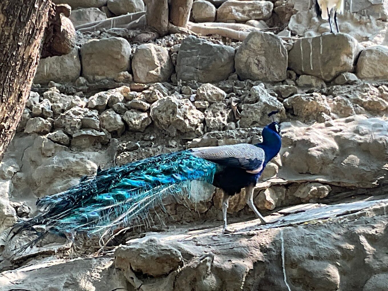 高雄親子景點推薦：必去景點與活動懶人包