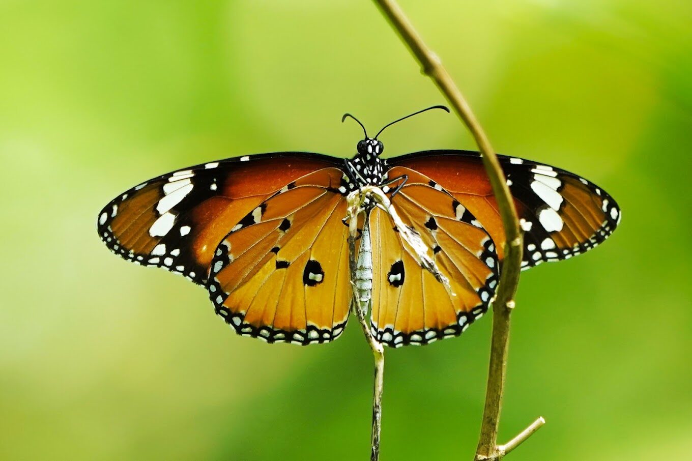 高雄親子景點推薦：必去景點與活動懶人包
