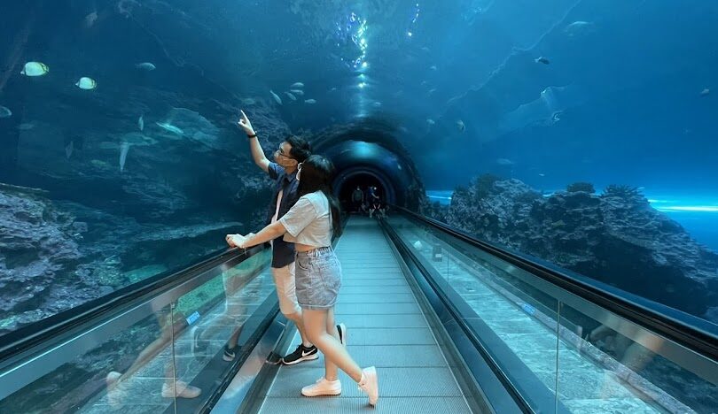 屏東景點：墾丁國家公園必訪景點及活動指南