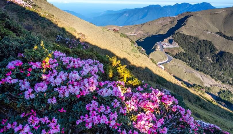 南投景點合歡山最佳觀星時節：如何找到絕佳觀星地點
