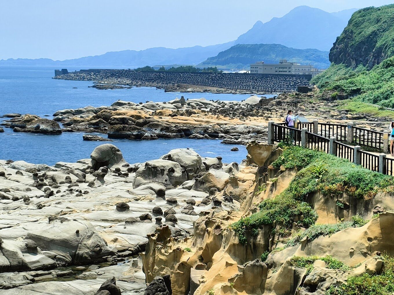 探索基隆景點:和平島公園的秘密—潮間帶生態與壯麗夕陽