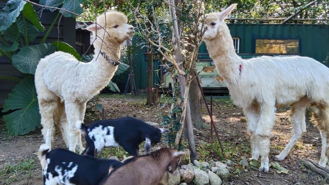 金山溫泉亮點及隱藏秘境：打卡必去的景點和不為人知的趣味地點！
