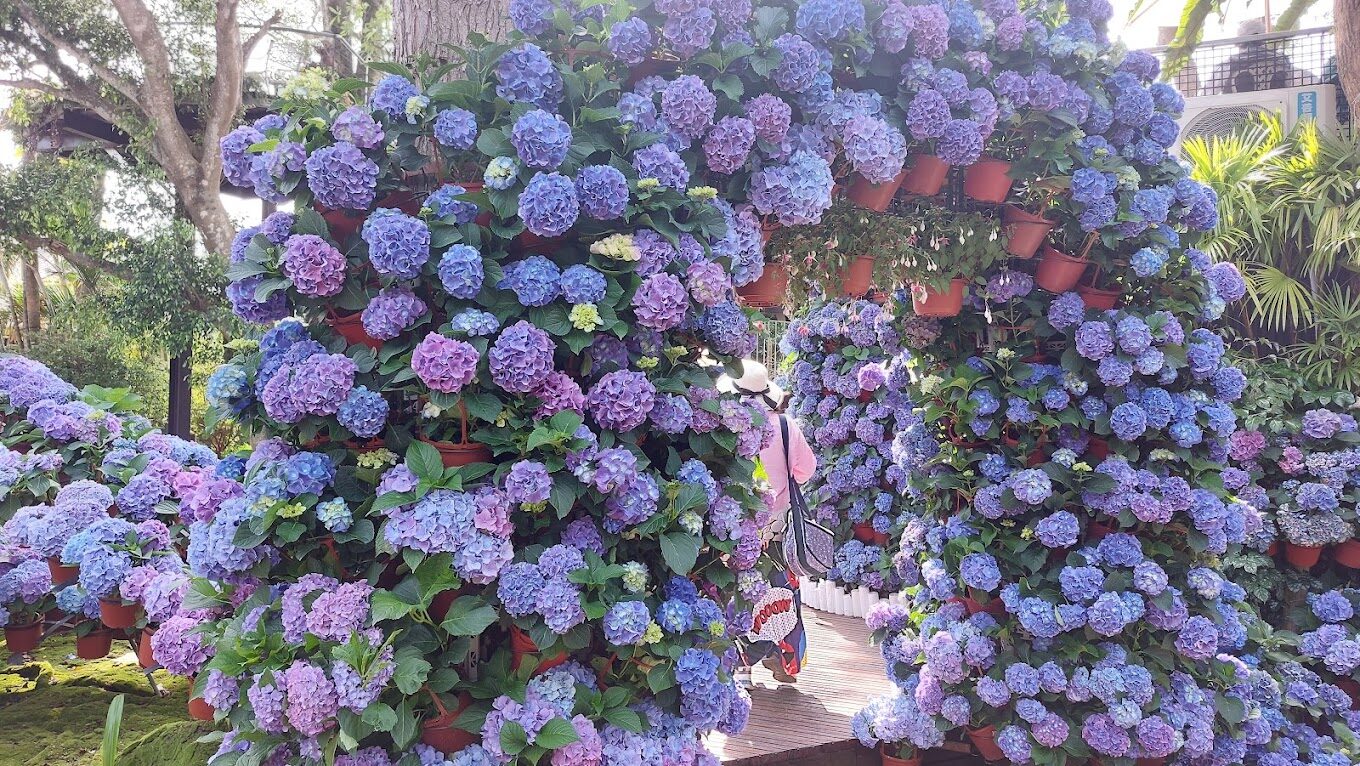 花露農場景點推薦—必看攻略