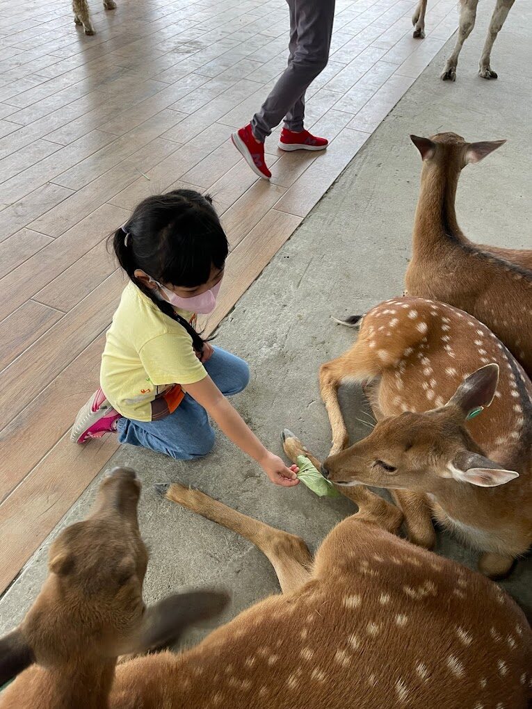 宜蘭親子景點必遊：自然與文化的雙重探索