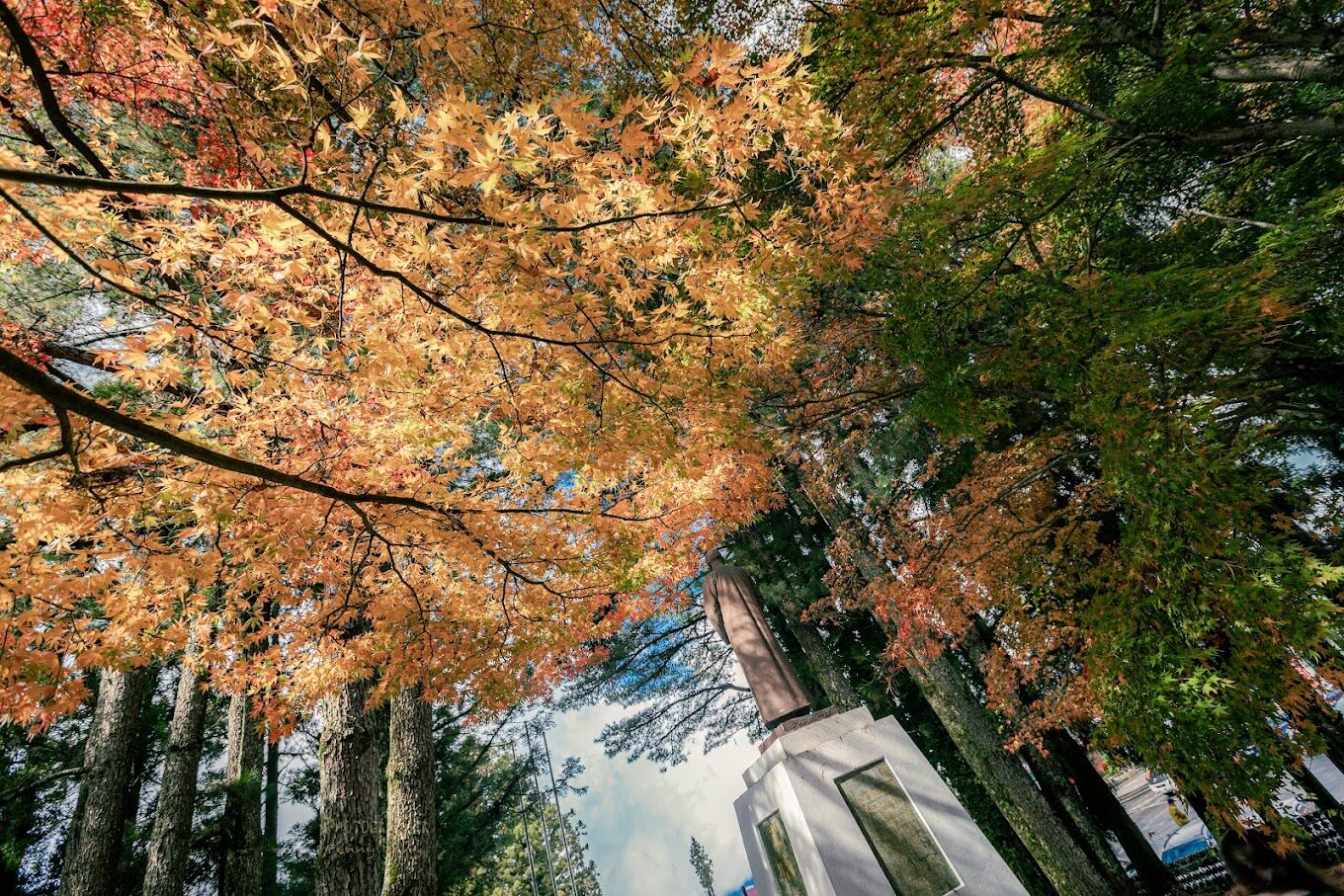 福壽山農場必遊景點與最佳拍攝地點全攻略