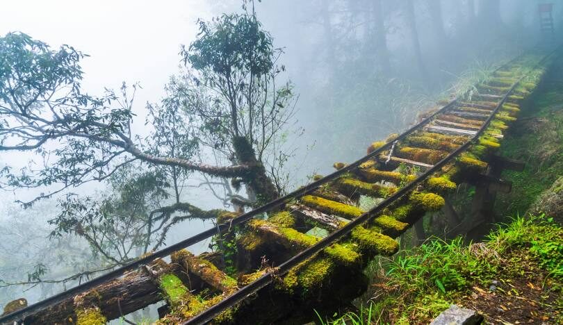 宜蘭景點推薦：太平山國家森林遊樂區最佳觀景時間
