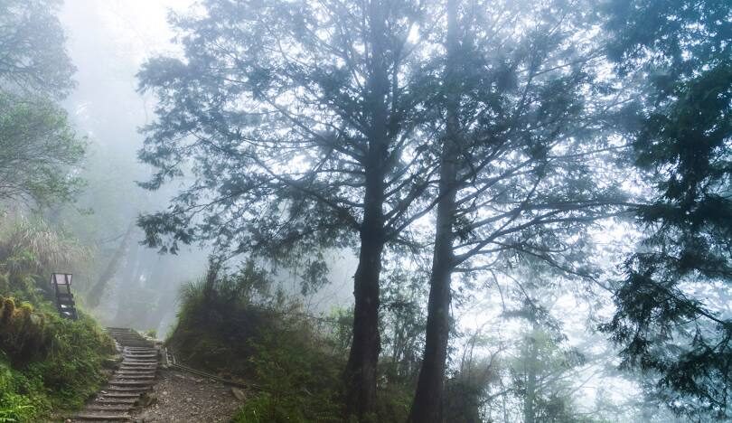宜蘭景點推薦：太平山國家森林遊樂區最佳觀景時間