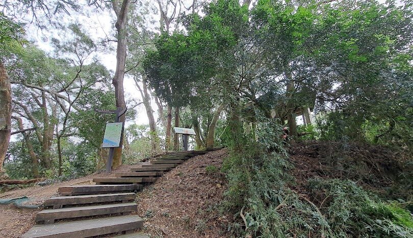 泰安溫泉旅遊指南：必知資訊和推薦活動