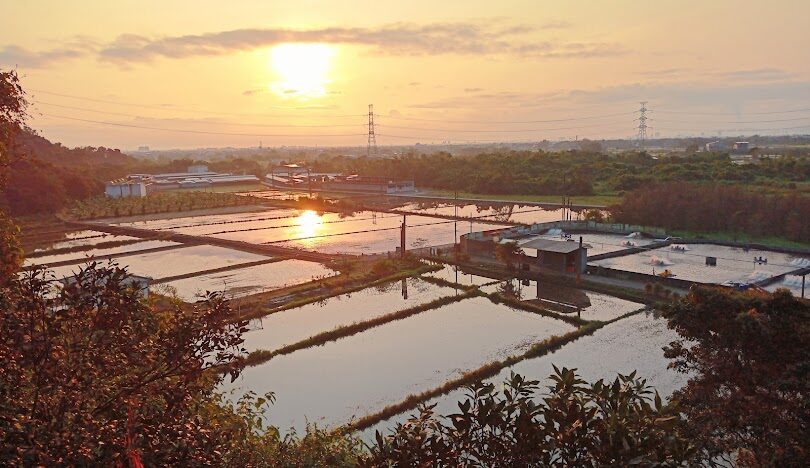 泰安溫泉旅遊指南：必知資訊和推薦活動