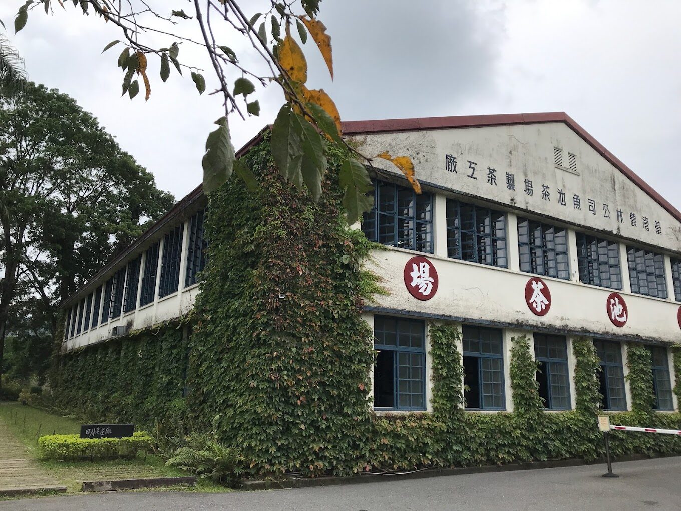 探索日月潭南投美食必嘗小吃:紅茶冰淇淋與脆腸的完美結合