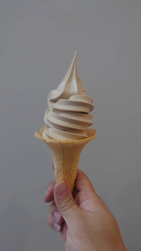 探索日月潭南投美食必嘗小吃：紅茶冰淇淋與脆腸的完美結合