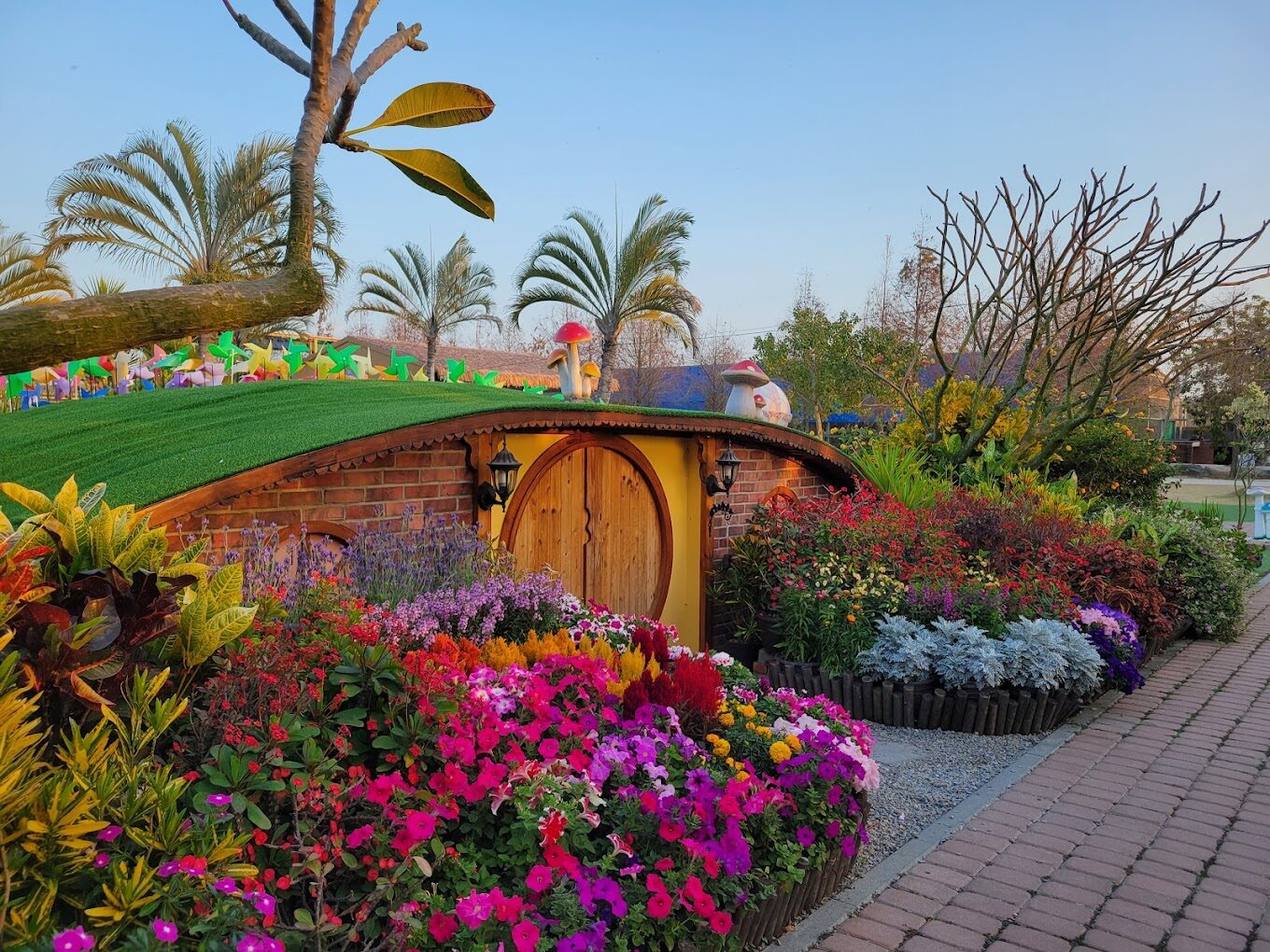 親子同樂：三隻小豬觀光農場的最佳親子活動介紹