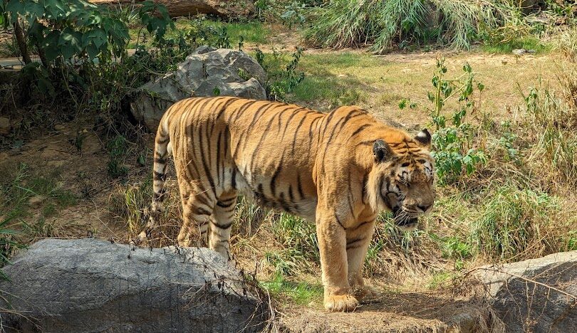 新竹親子景點推薦：熱門遊玩最佳選擇