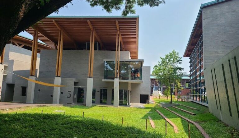 左鎮化石園區導覽：全方位探索的旅遊攻略