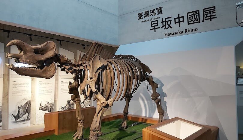 左鎮化石園區導覽:全方位探索的旅遊攻略