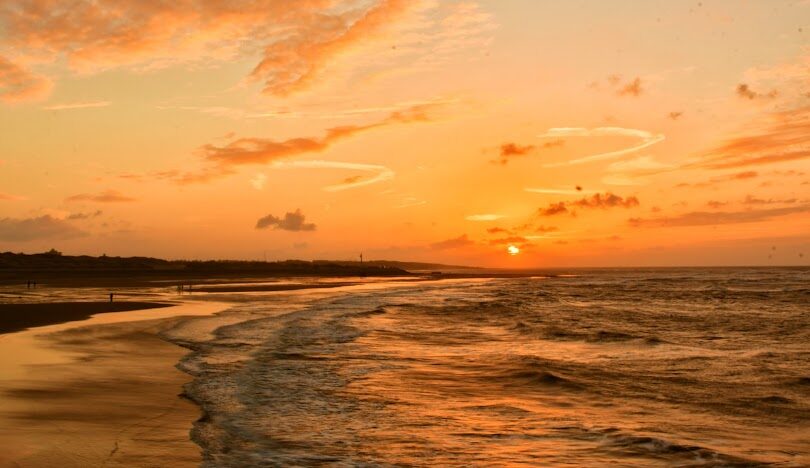 竹圍漁港必吃美食推薦 - 當地人最愛的美味指南