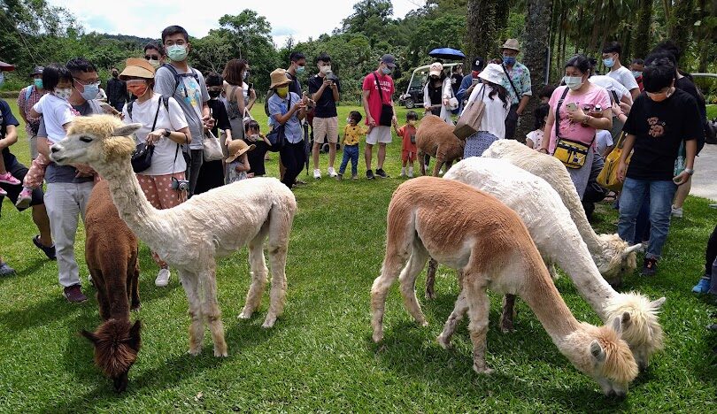 新竹親子景點推薦：熱門遊玩最佳選擇