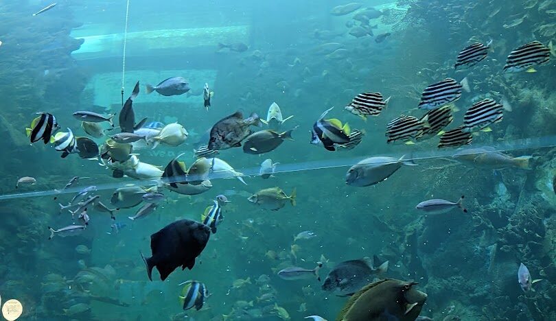 澎湖三天兩夜最佳旅遊地點推薦：三天兩夜旅遊攻略