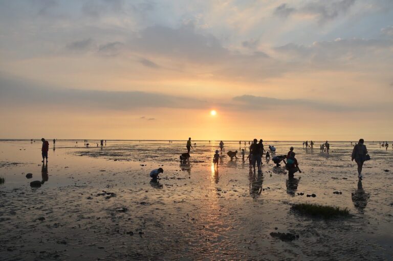 新竹親子景點推薦：熱門遊玩最佳選擇