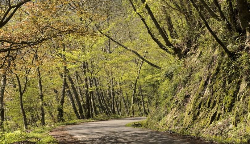 苗栗親子必訪景點：探索自然與歷史的完美一日遊