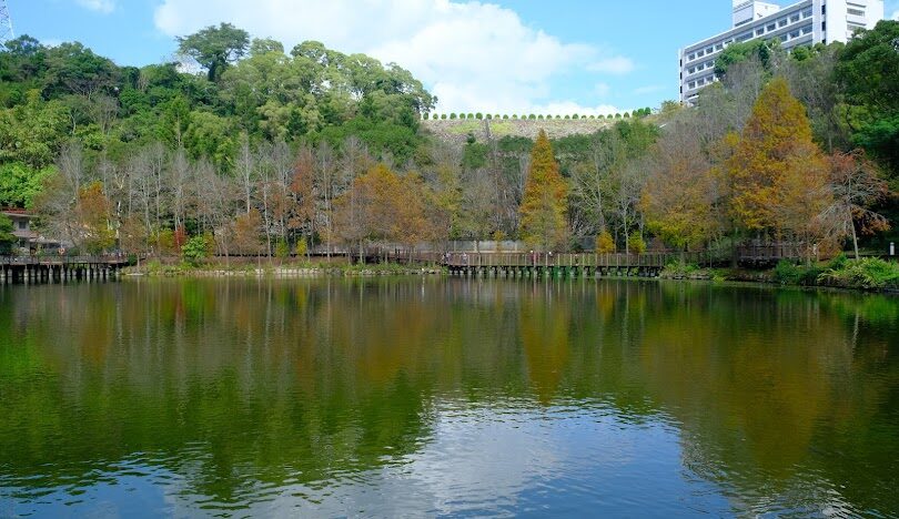 車埕老街歷史與文化故事：探索這座臺灣小鎮的過去