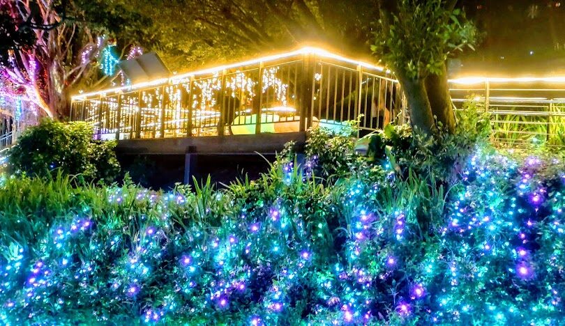 夜間燈光與步道花卉展演