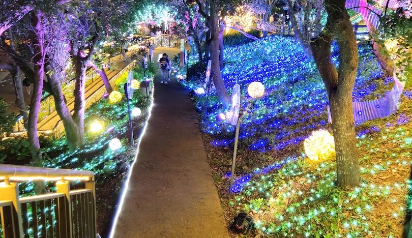桃園一日遊：賞花景點推薦