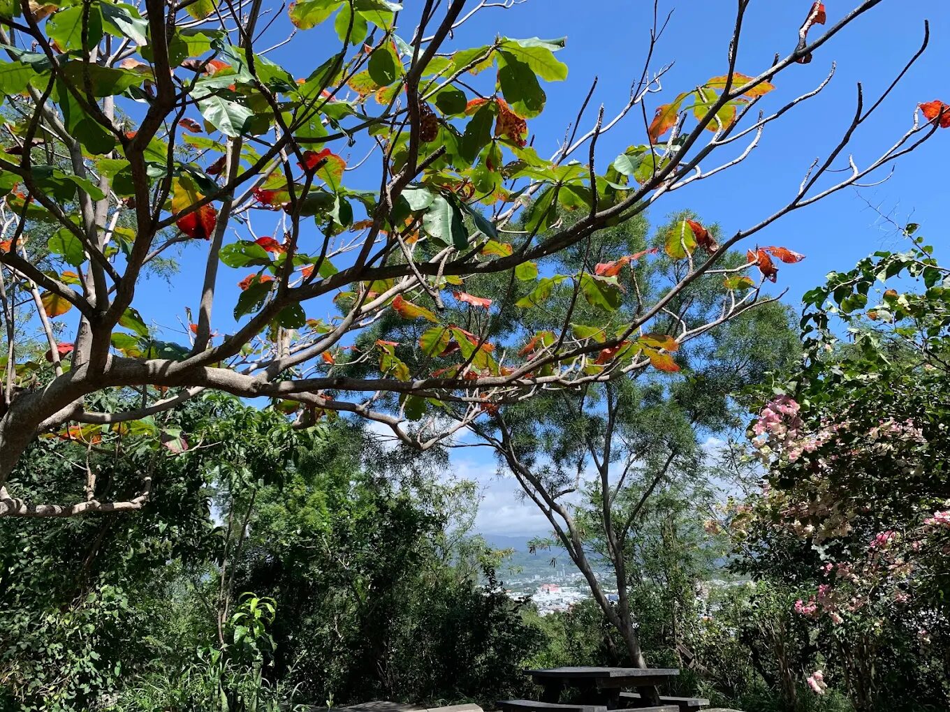 台東親子景點：自然景點推薦——三仙台與鯉魚山的一日遊攻略