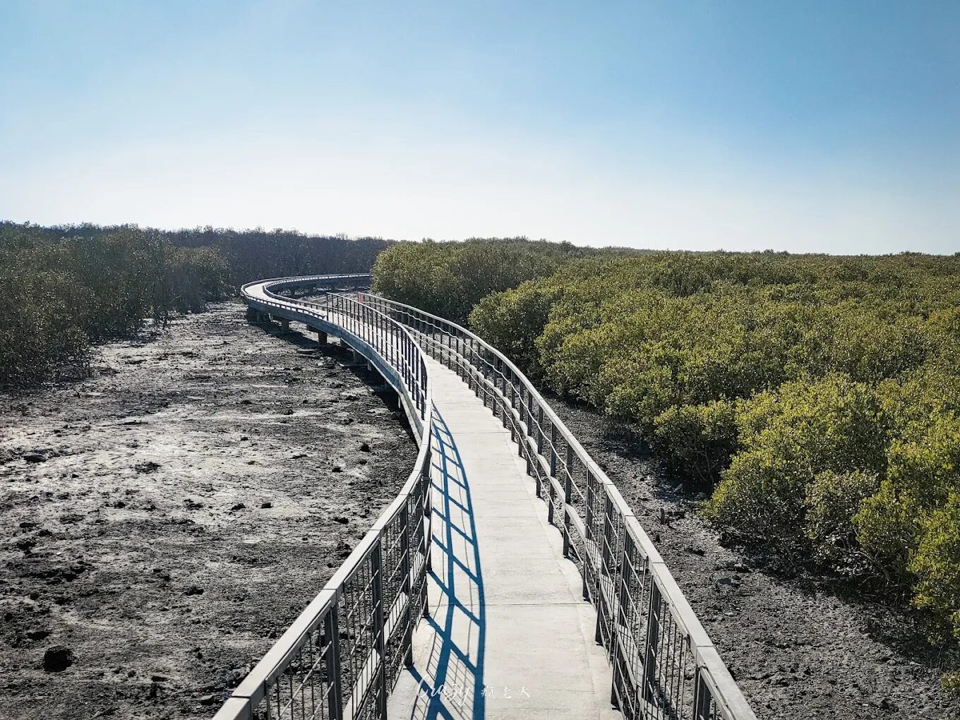 芳苑海空步道設計理念揭秘：自然與藝術的完美融合