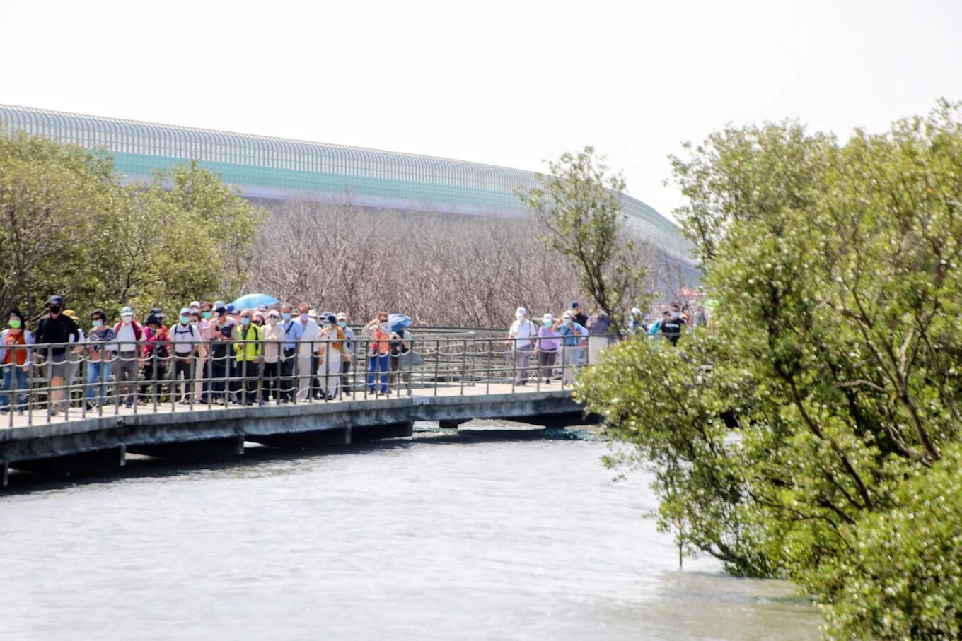 芳苑海空步道設計理念揭秘：自然與藝術的完美融合