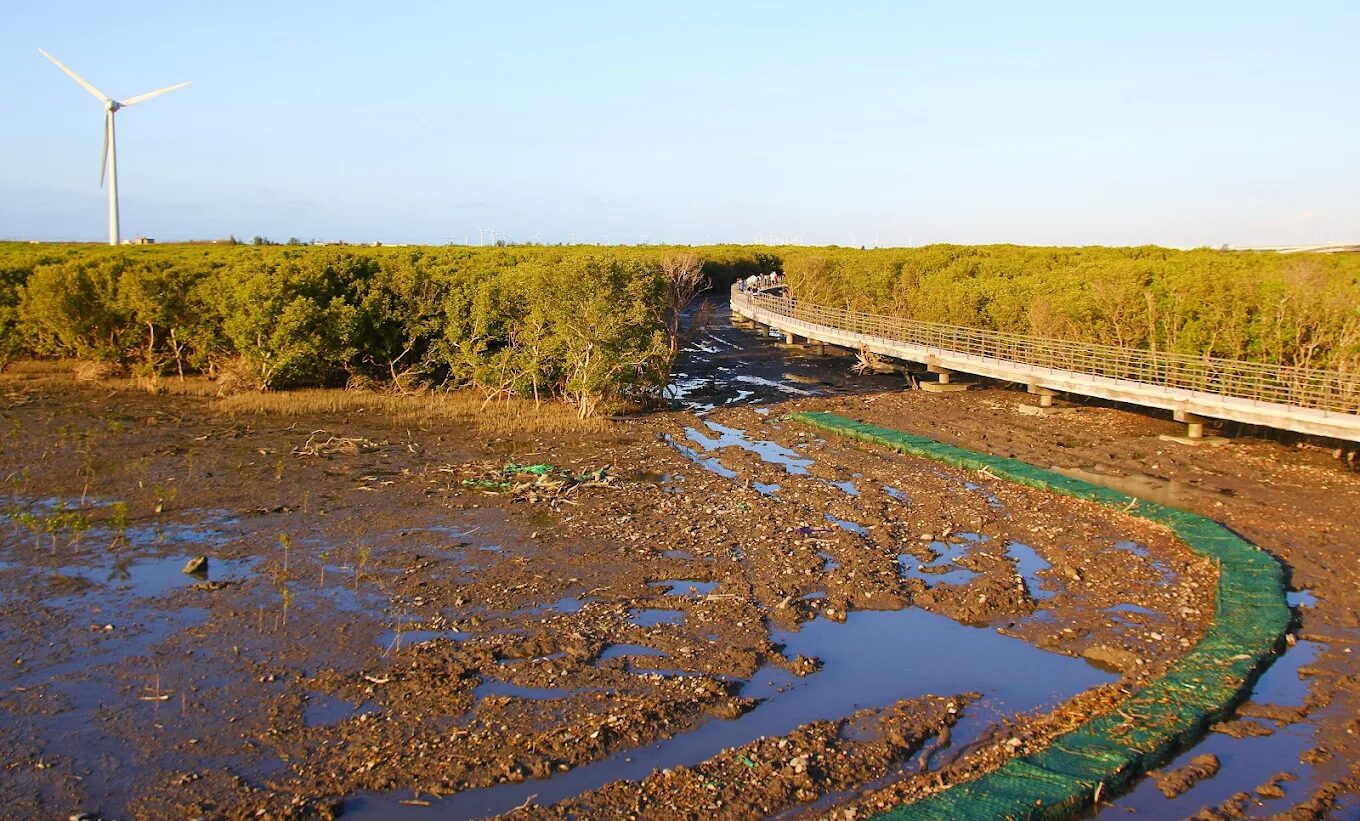芳苑海空步道設計理念揭秘：自然與藝術的完美融合