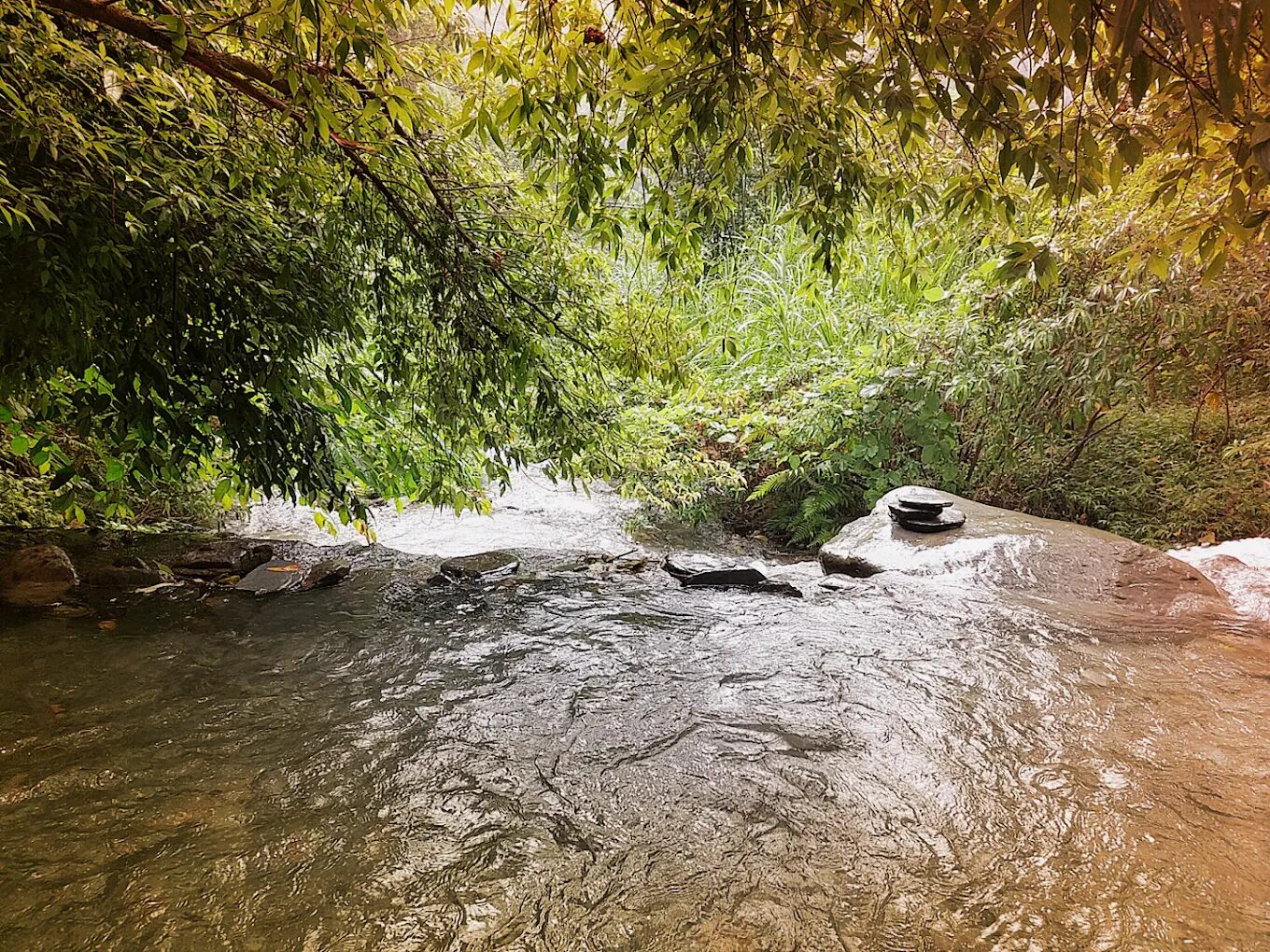 埔里一日遊必訪景點推薦