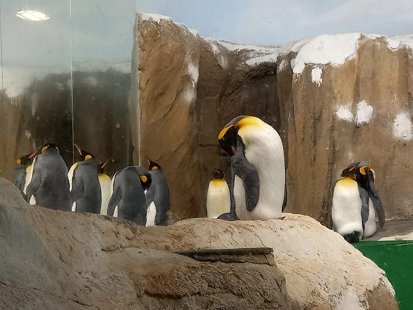 台北親子景點：台北親子戶外探索：最佳自然教育地點推薦