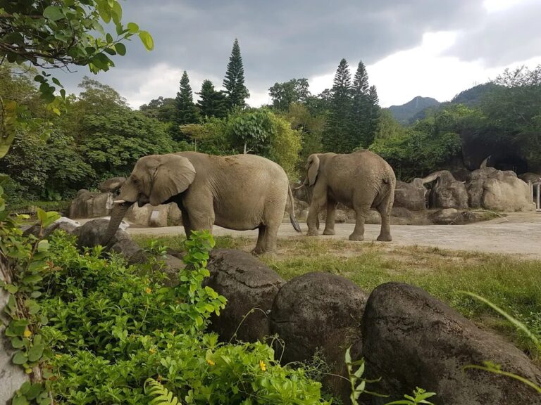 台北親子景點：台北親子戶外探索：最佳自然教育地點推薦