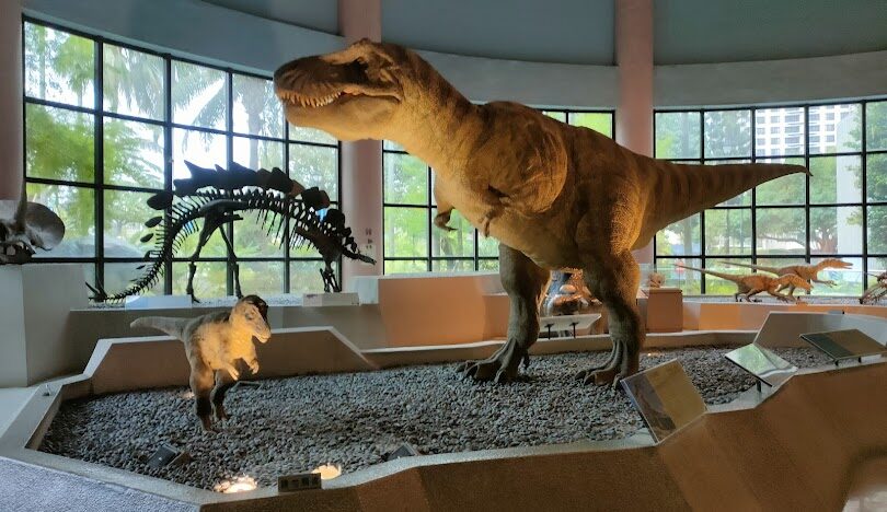 台中好玩的:第一次造訪台中必看的五大景點【2025指南】