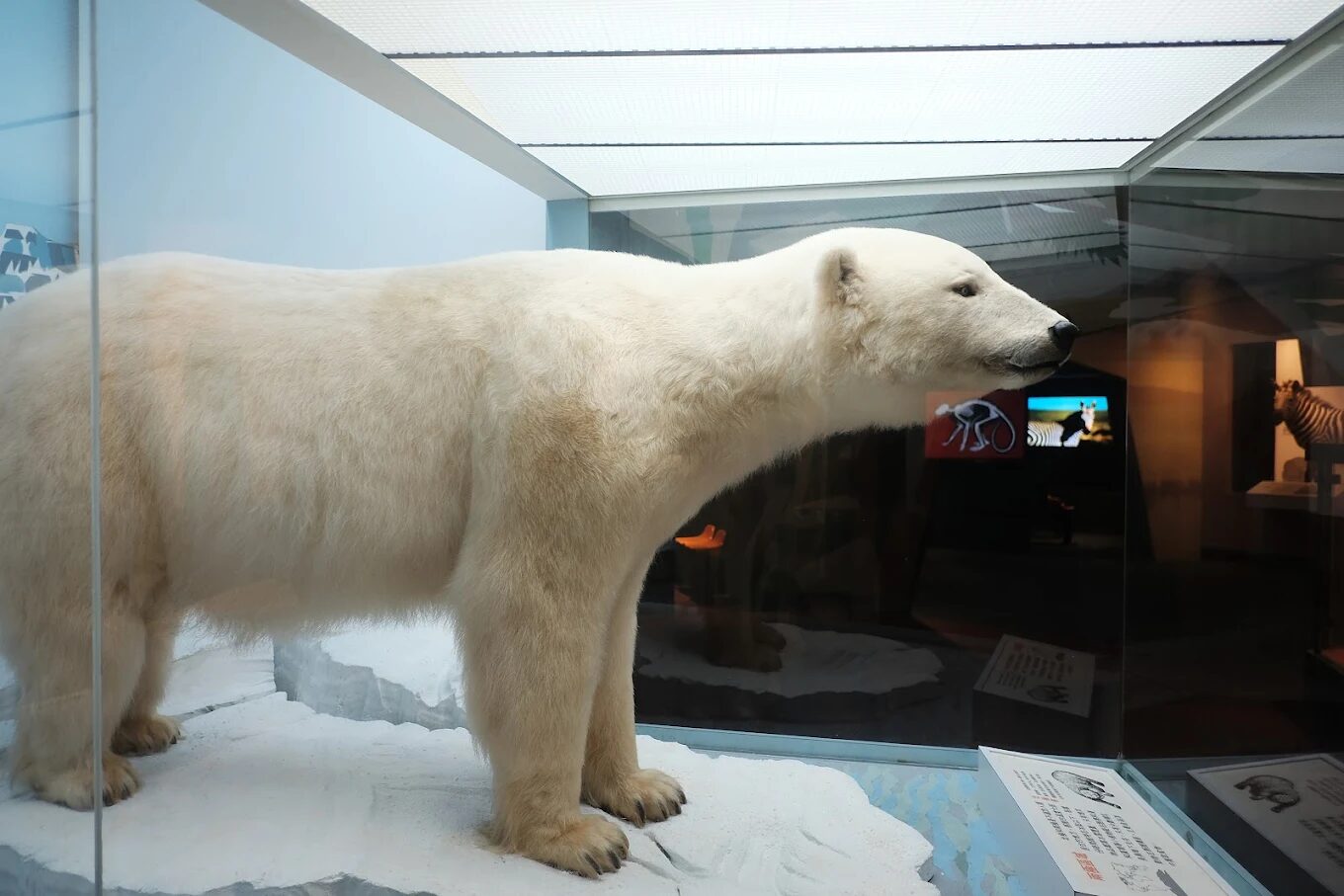 台中好玩的:第一次造訪台中必看的五大景點【2025指南】