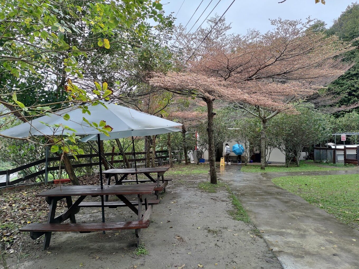 彰化親子景點推薦：適合家庭的一日遊行程