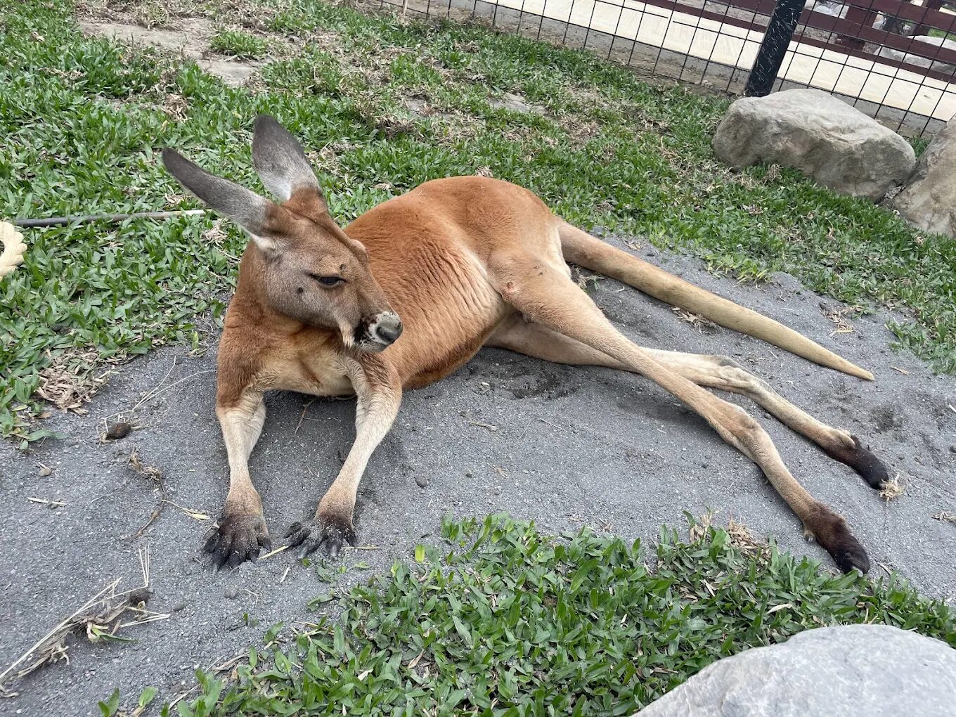 蘭陽動植物王國生態旅遊攻略