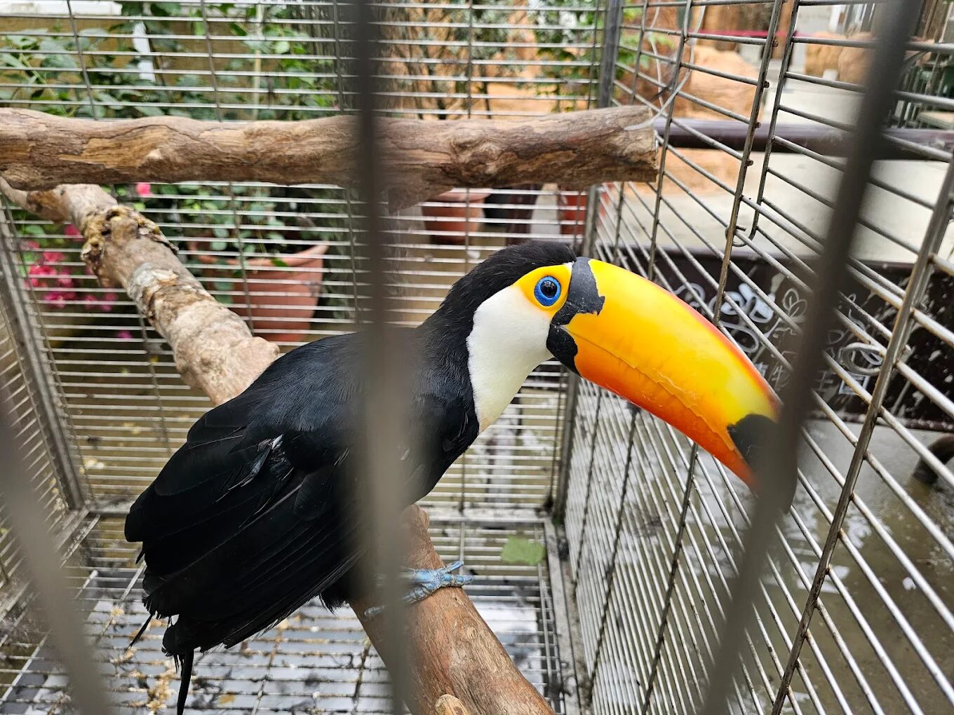 蘭陽動植物王國生態旅遊攻略