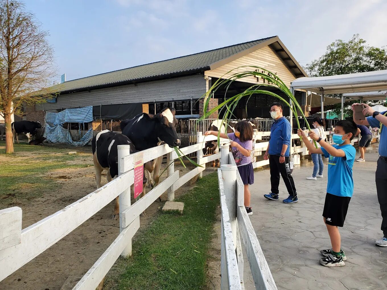 探索雲林景點的農村體驗：最佳生態旅遊景點推薦