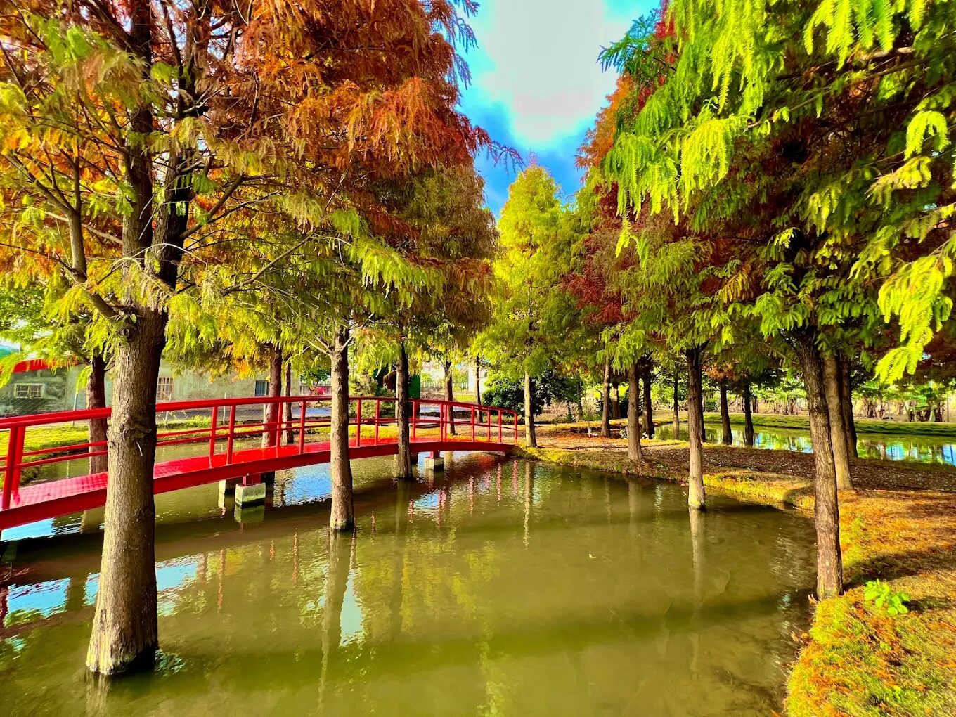 探索雲林景點的農村體驗：最佳生態旅遊景點推薦