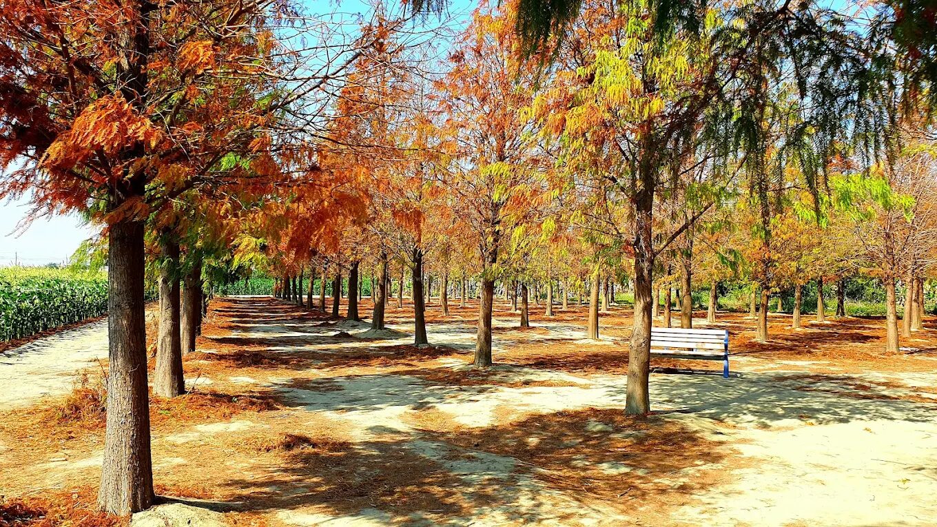 探索雲林景點的農村體驗：最佳生態旅遊景點推薦