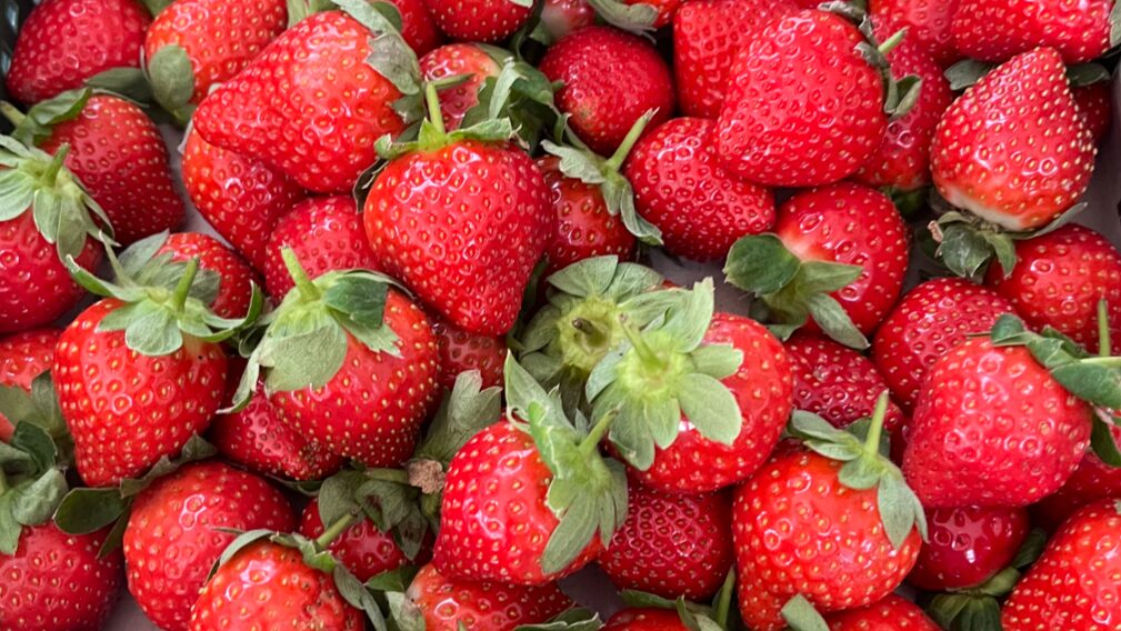 探索雲林景點的農村體驗：最佳生態旅遊景點推薦