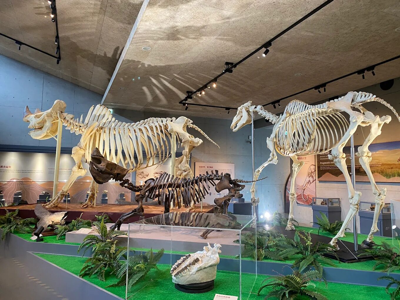 左鎮化石園區歷史及背景揭密