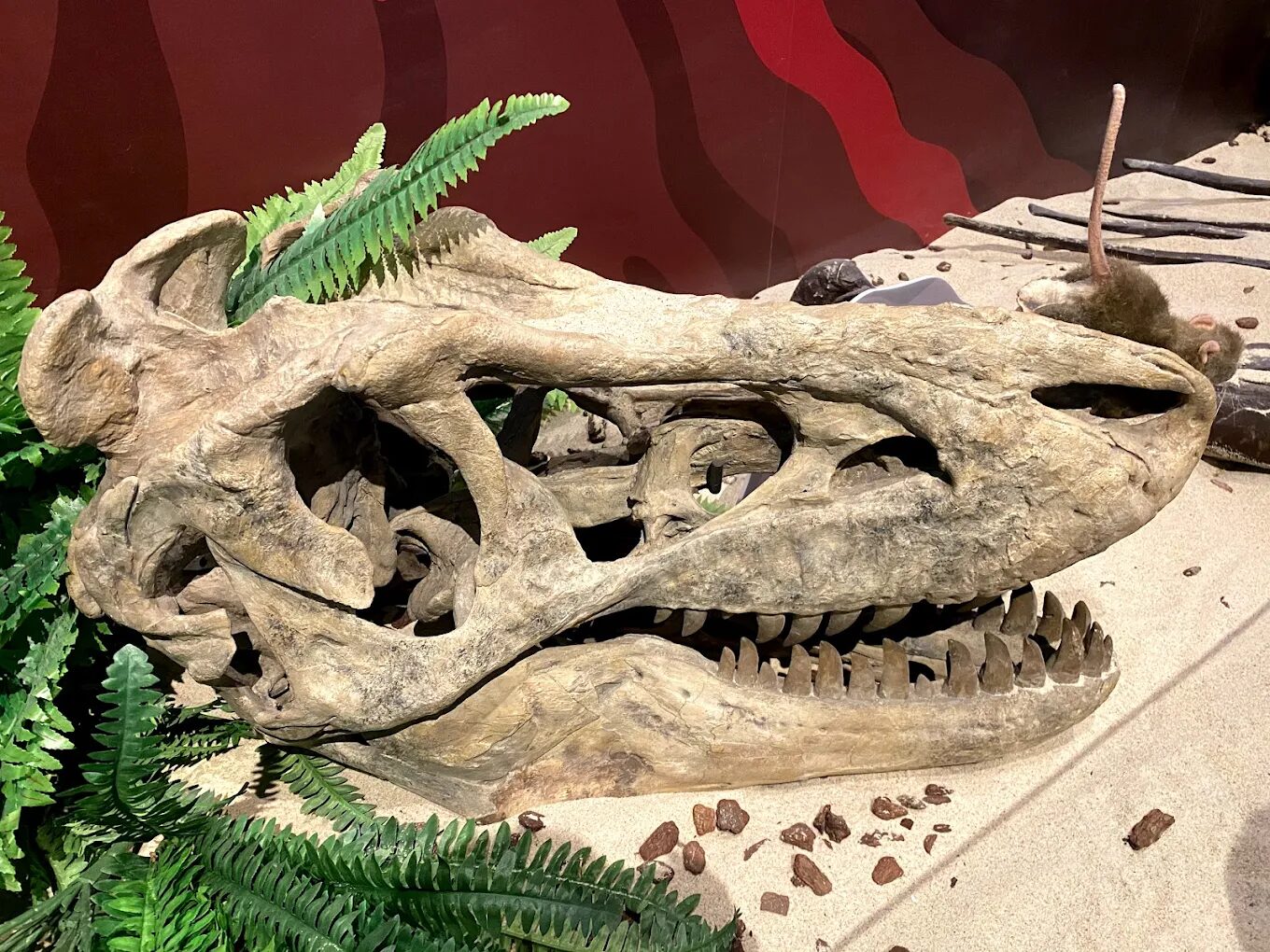 左鎮化石園區歷史及背景揭密