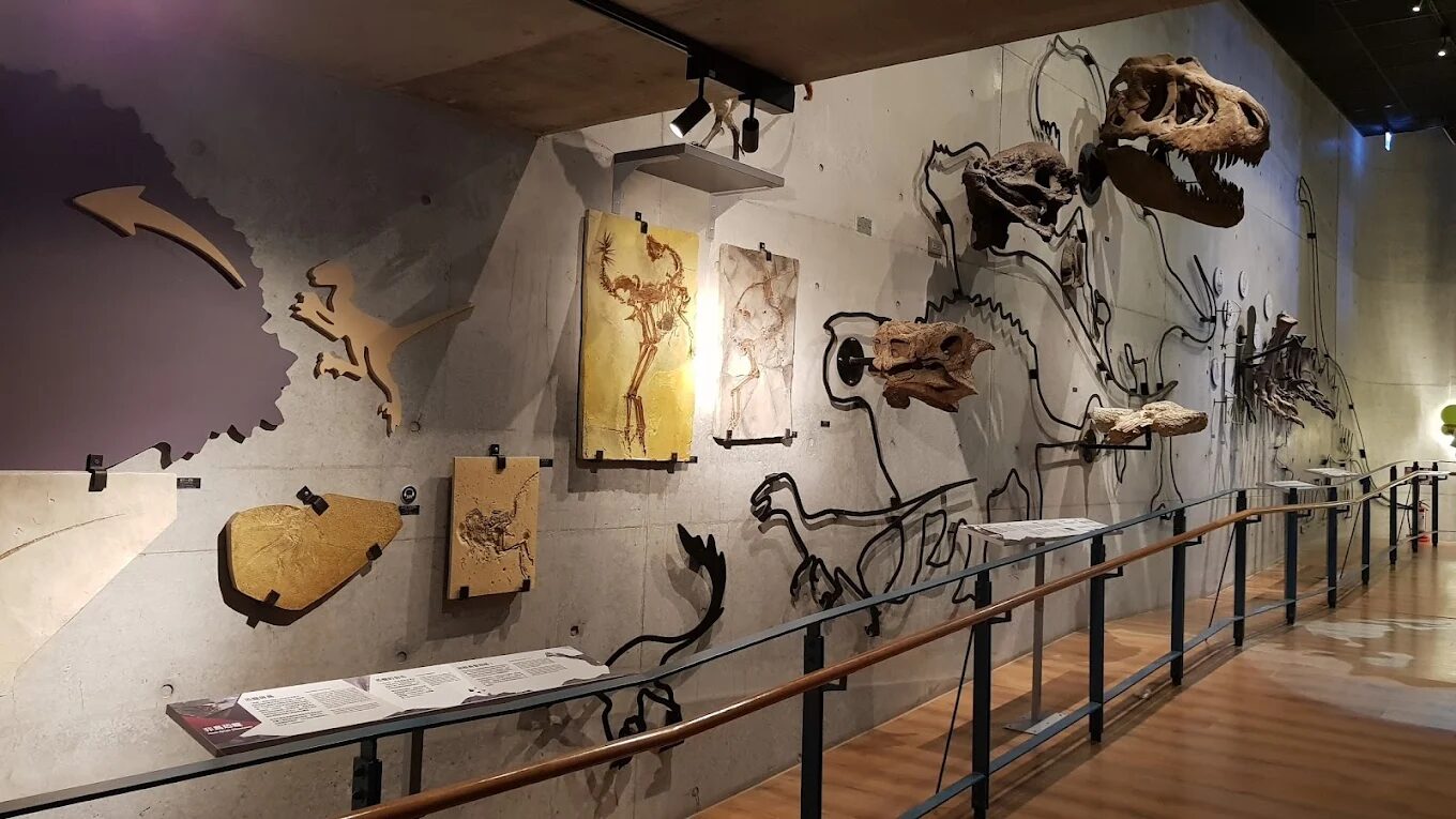 左鎮化石園區歷史及背景揭密