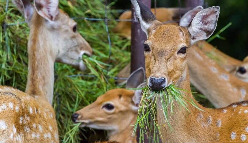 墾丁一日遊行程規劃：必去的景點與美食