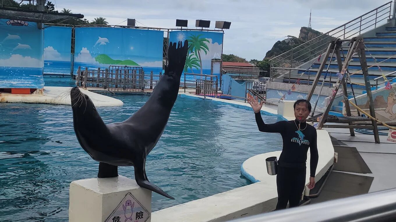 帶孩子遊台北親子景點：十大必訪親子景點推薦