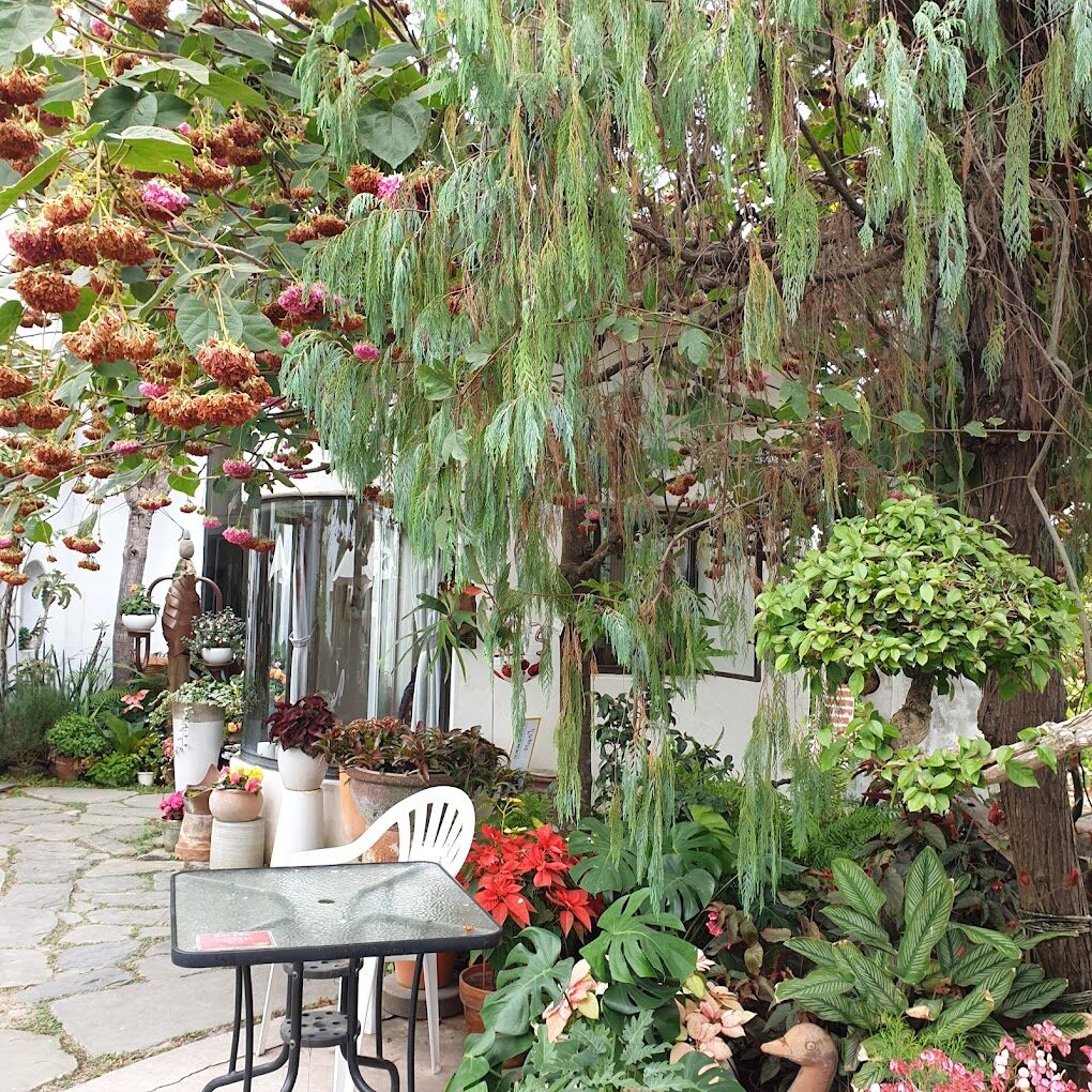 彰化親子景點：彰化動物互動，田尾公路花園的親子體驗指南